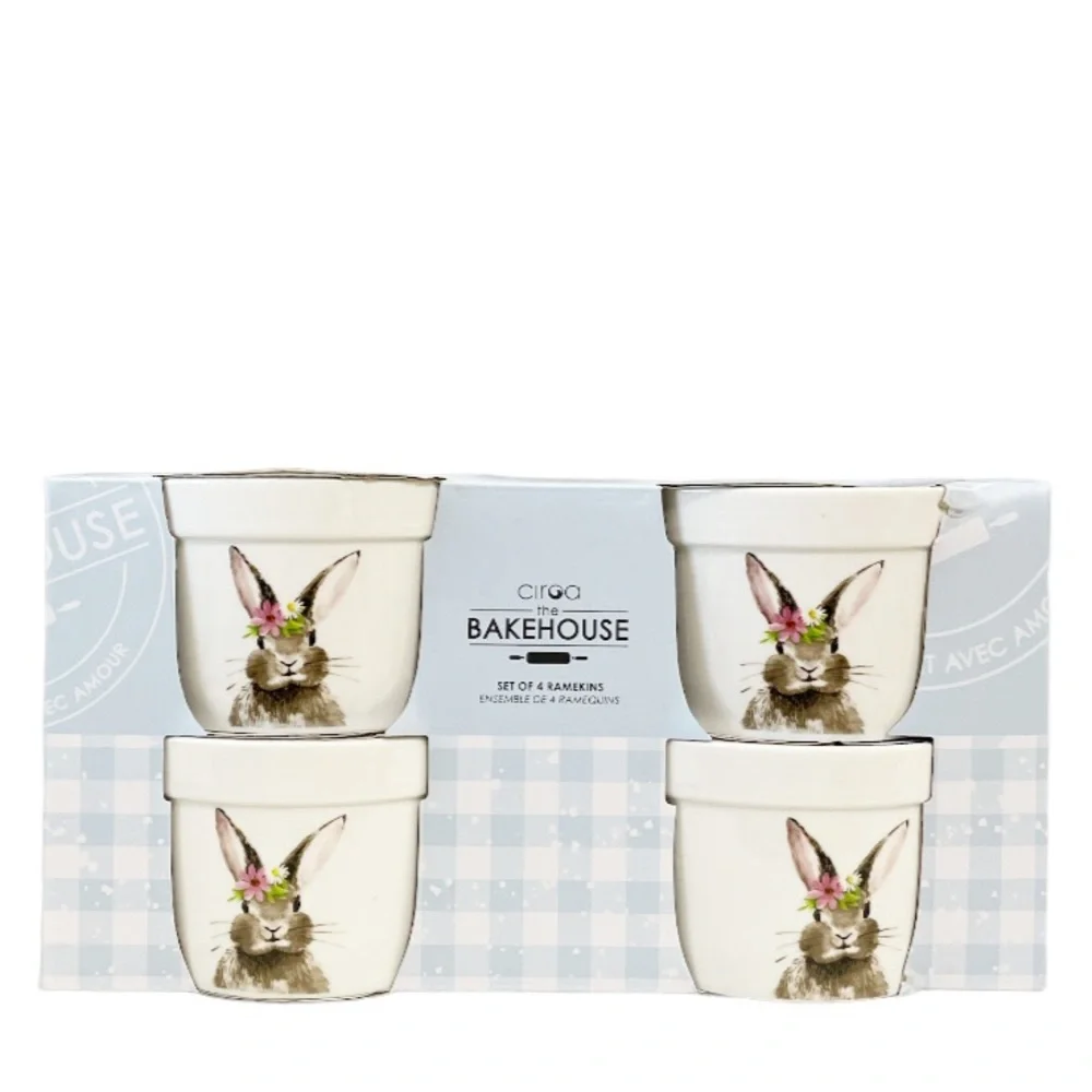 NEW BakeHouse BUNNY Double Sided Ramekin Set/4 🐰🥕🐰